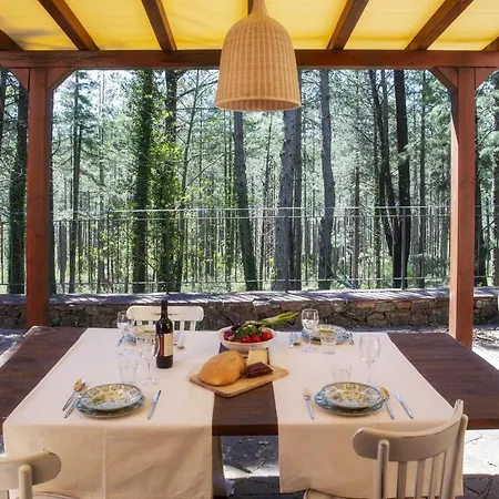 Podere Mocai - Nel Bosco * Montieri