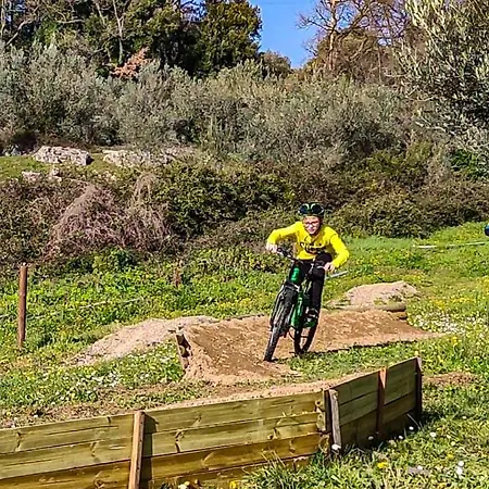 Podere Mocai - Nel Bosco Apartamento *