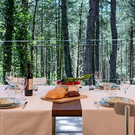 Podere Mocai - Nel Bosco Apartment Montieri