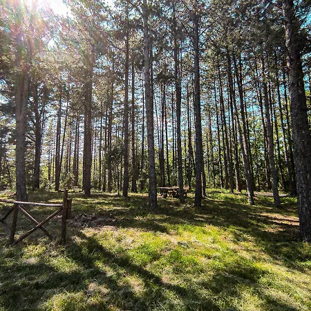 Podere Mocai - Nel Bosco Apartment Montieri