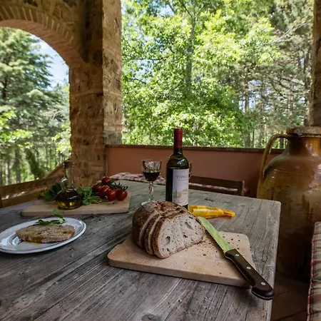 Podere Mocai - Nel Bosco Appartamento
